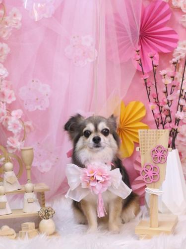 20250301あもちゃん